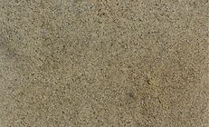 Tan, textured surface, possibly concrete or stucco, with small pits and imperfections.