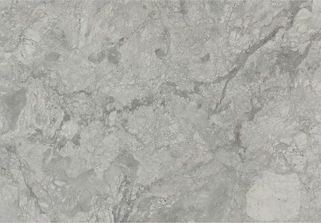 Gray and white marble with veining and textured surface.