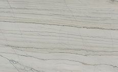 White and gray stone with horizontal veining, used for a countertop.