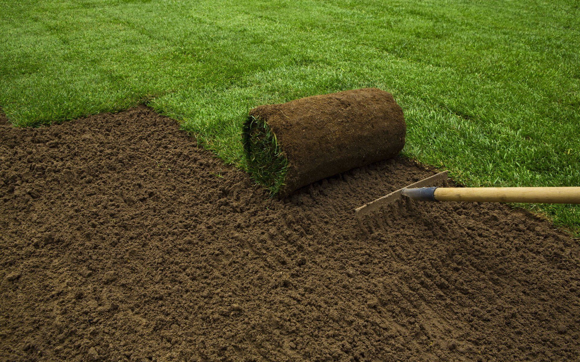 sod installation