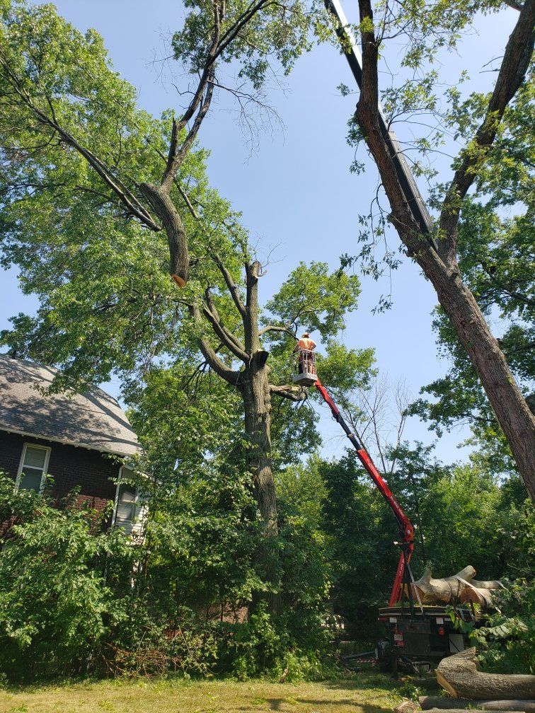 Tree service