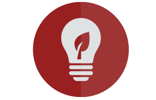 Lightbulb with leaf icon