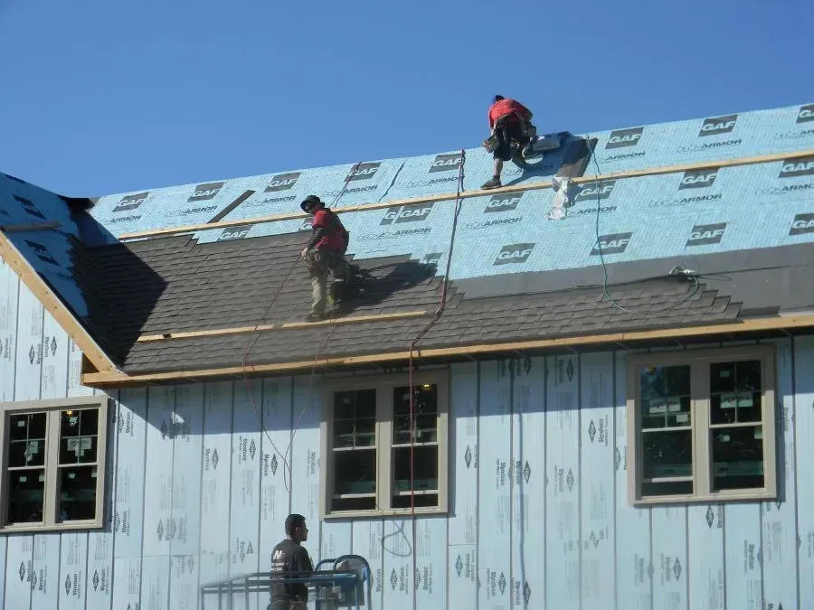 Construction workers installing dark asphalt roof shingles on a house covered in light blue protective wrap.