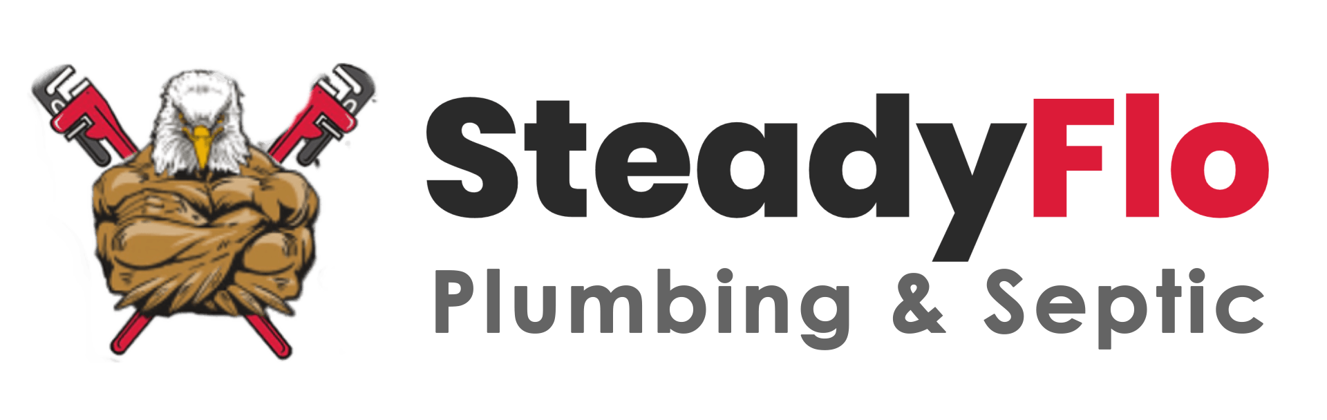 Steady Flo Plumbing & Septic Logo