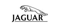Jaguar logo with leaping jaguar silhouette above the word
