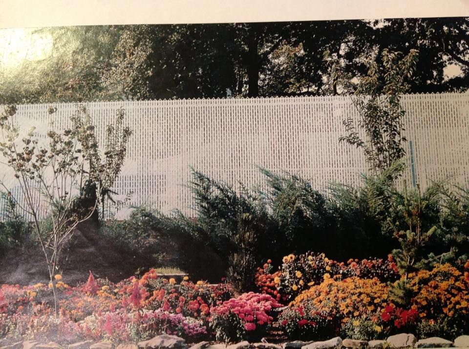 Colorful flower bed in front of a white fence with shrubs and trees overhead