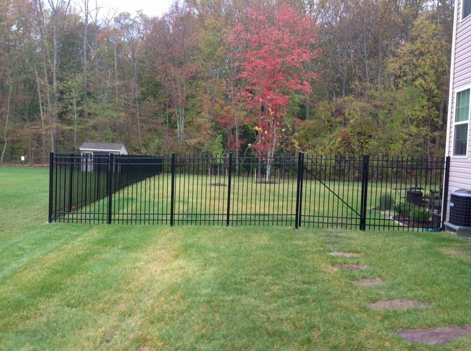Black metal fence on a grassy backyard with autumn trees and a house at right