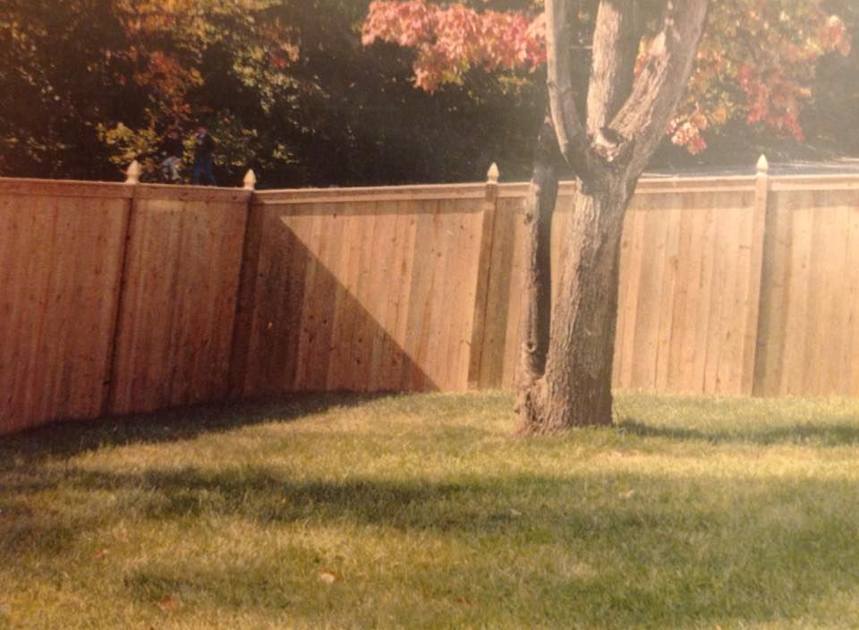 Backyard with a wooden fence, grass lawn, and a tree in the foreground