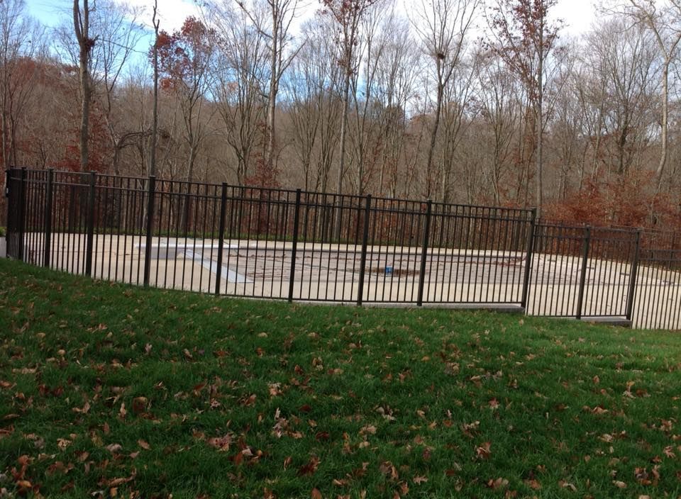 Black metal fence around a light concrete area in a leafless park, with green grass in the foreground.
