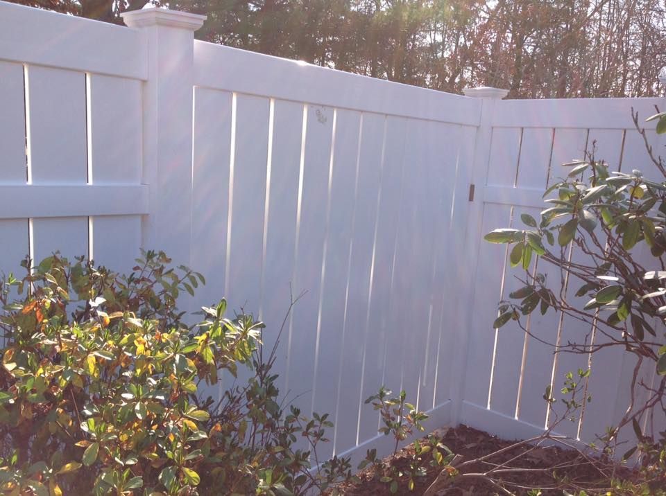 White vinyl fence in a sunny backyard with shrubs and trees behind it