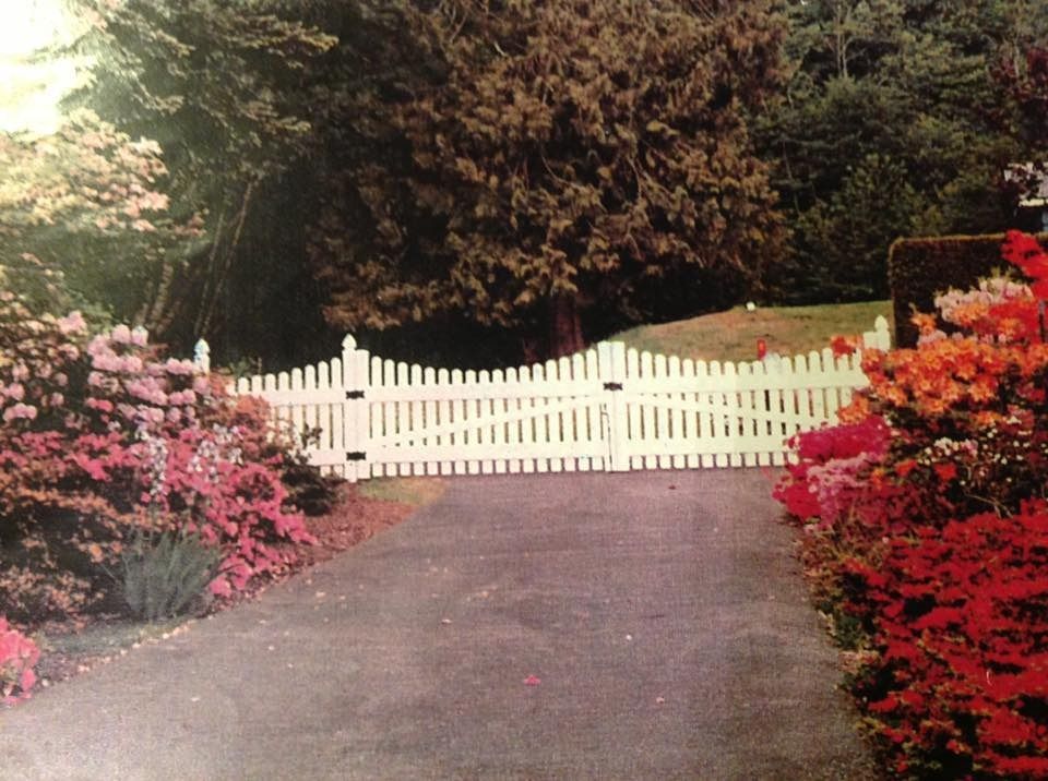 White picket gate at the end of a driveway, bordered by pink and red flowering bushes.