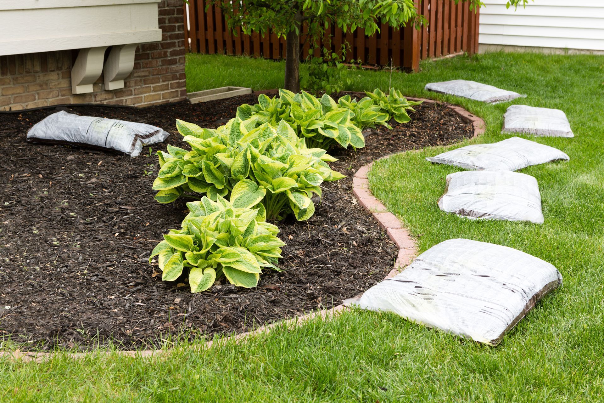10 Essential Lawn and Garden Supplies for Beginners