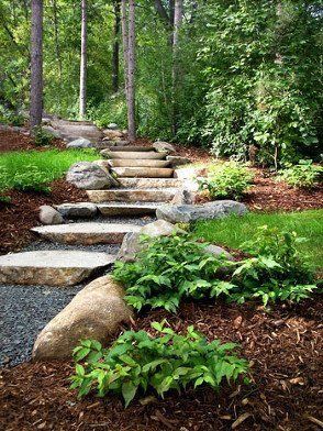 A set of stone steps leading up to a lush green forest.