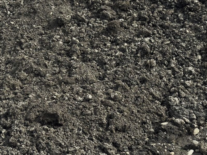 A close up of a pile of dirt and rocks.
