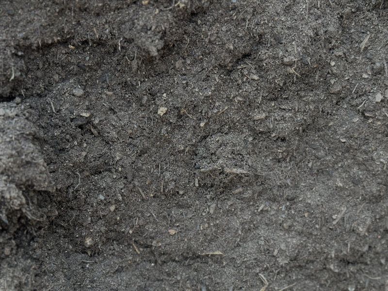 A close up of a pile of gray dirt.