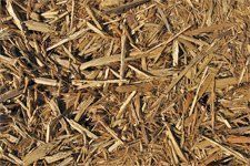 A close up of a pile of wood chips on the ground.