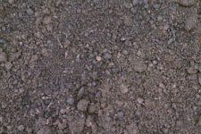 A close up of a pile of dirt and rocks.