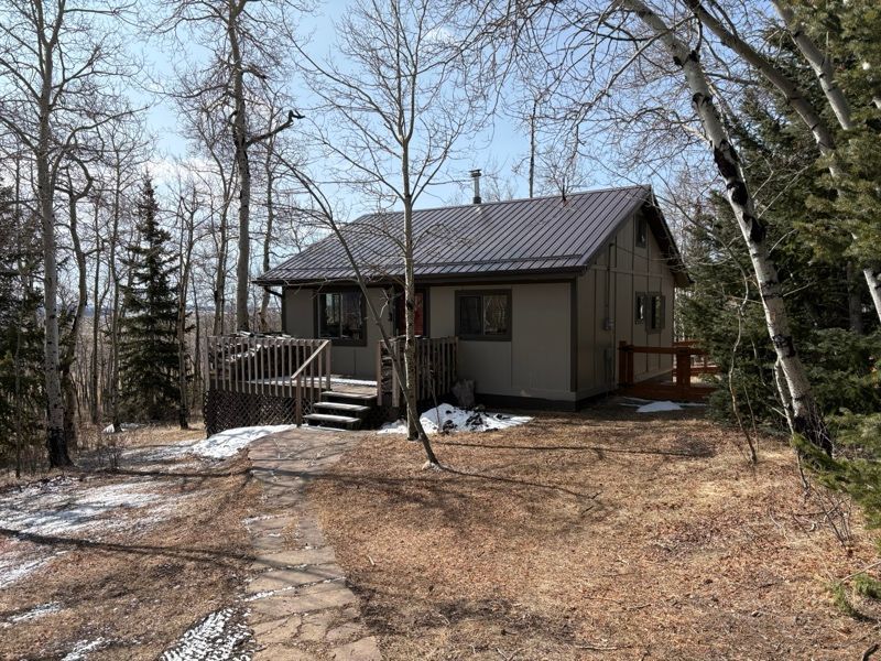 Small cabin with a dark metal roof, wooden deck, and bare trees in a wooded yard.
