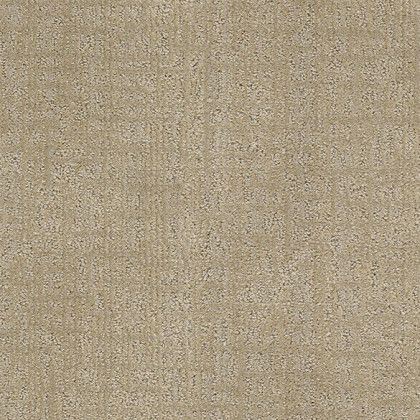 A close up of a beige carpet texture.