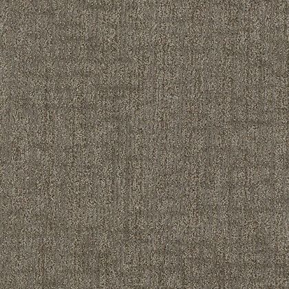 A close up of a brown carpet texture.