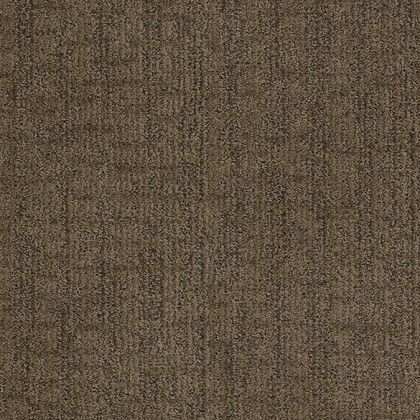 A close up of a brown carpet texture.