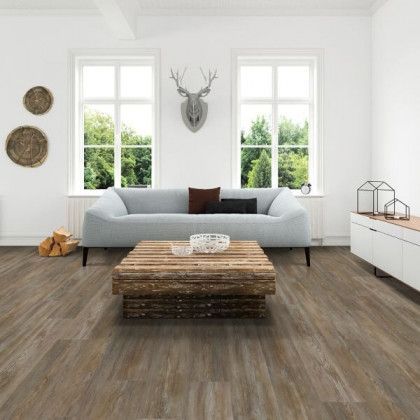 A living room with a couch , coffee table , and deer head on the wall.