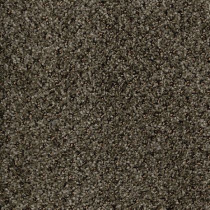 A close up of a brown carpet texture.