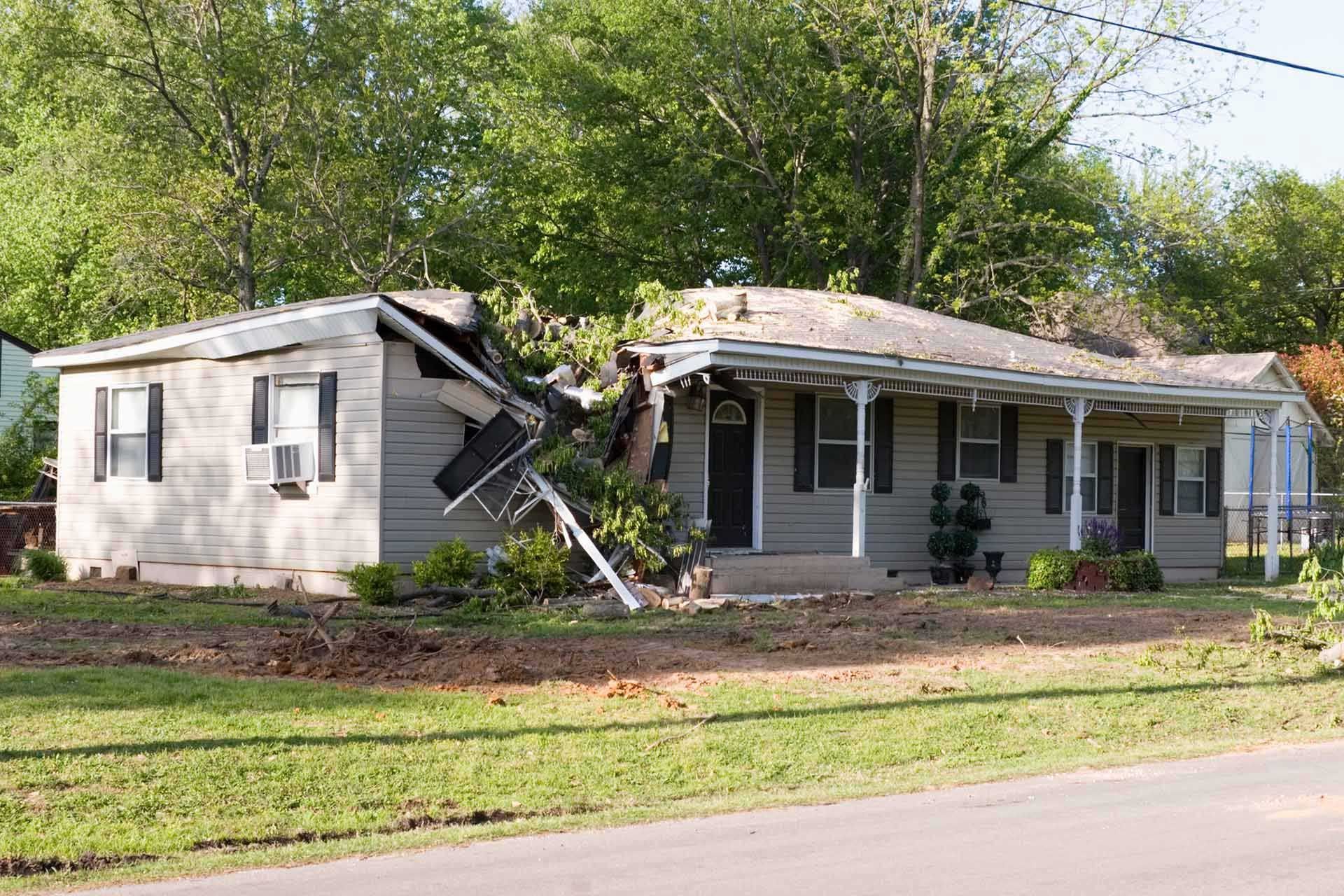 A tree has fallen on a house, damaging the roof and wall. Green grass and trees are in the background.