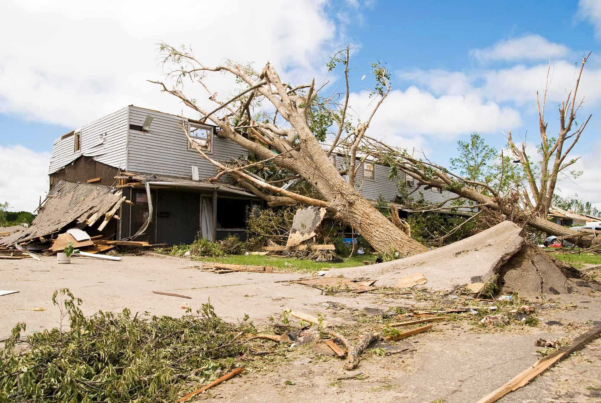 A building with a fallen tree on it; debris and damage are visible under a cloudy sky.
