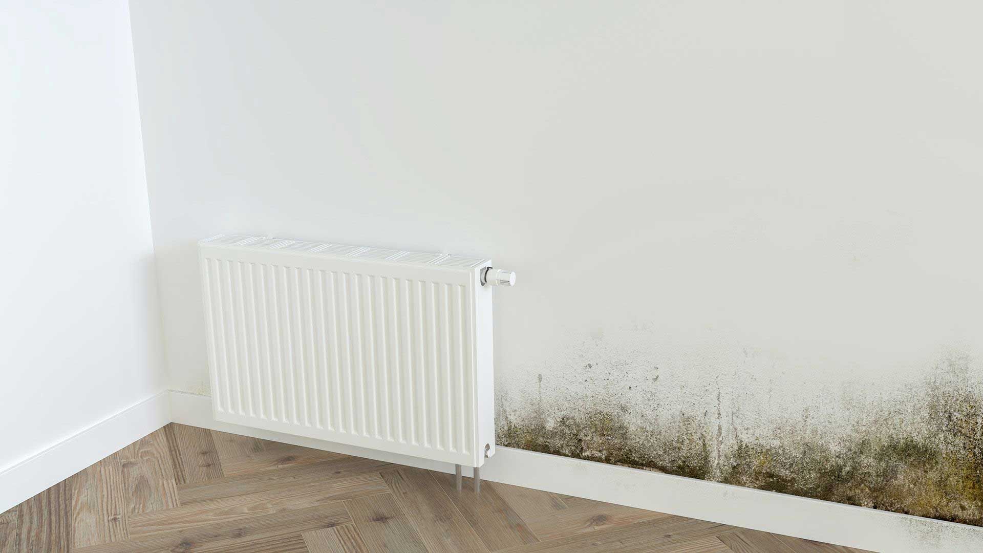 White wall with mold growth near a white radiator, beside wooden floor.