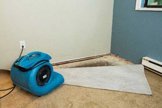 Blue blower drying wet carpet in room corner.