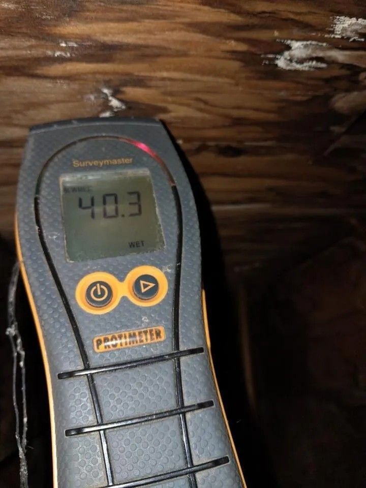 Moisture meter shows 40.3% on wood, likely in an attic, with possible mold.