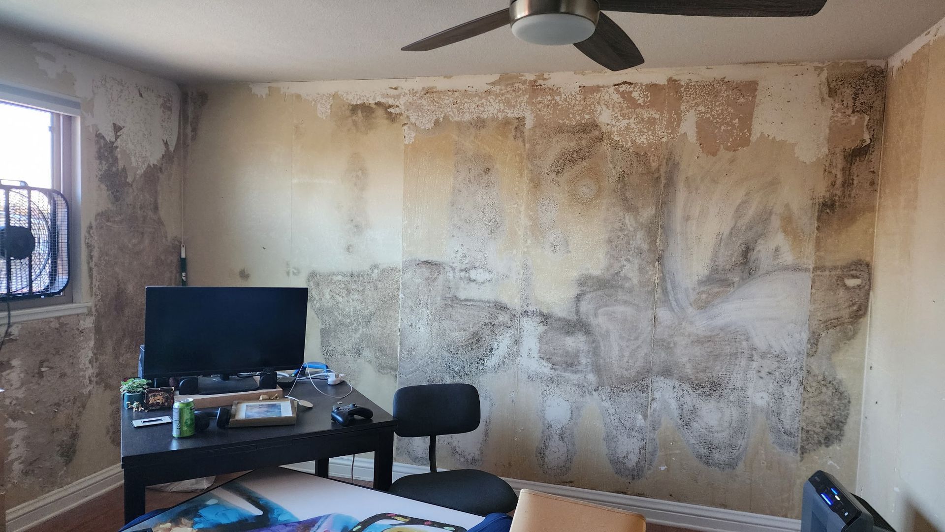 Room with peeling, moldy walls, desk, chair, and ceiling fan. Window with security bars visible.