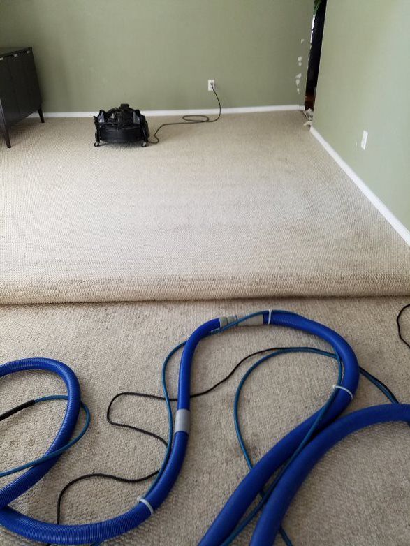 Carpet cleaning services