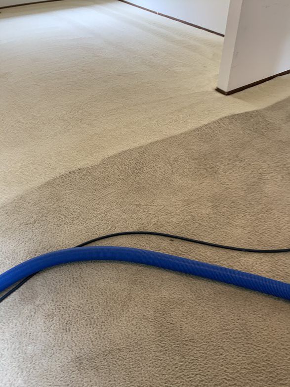 Carpet cleaning services