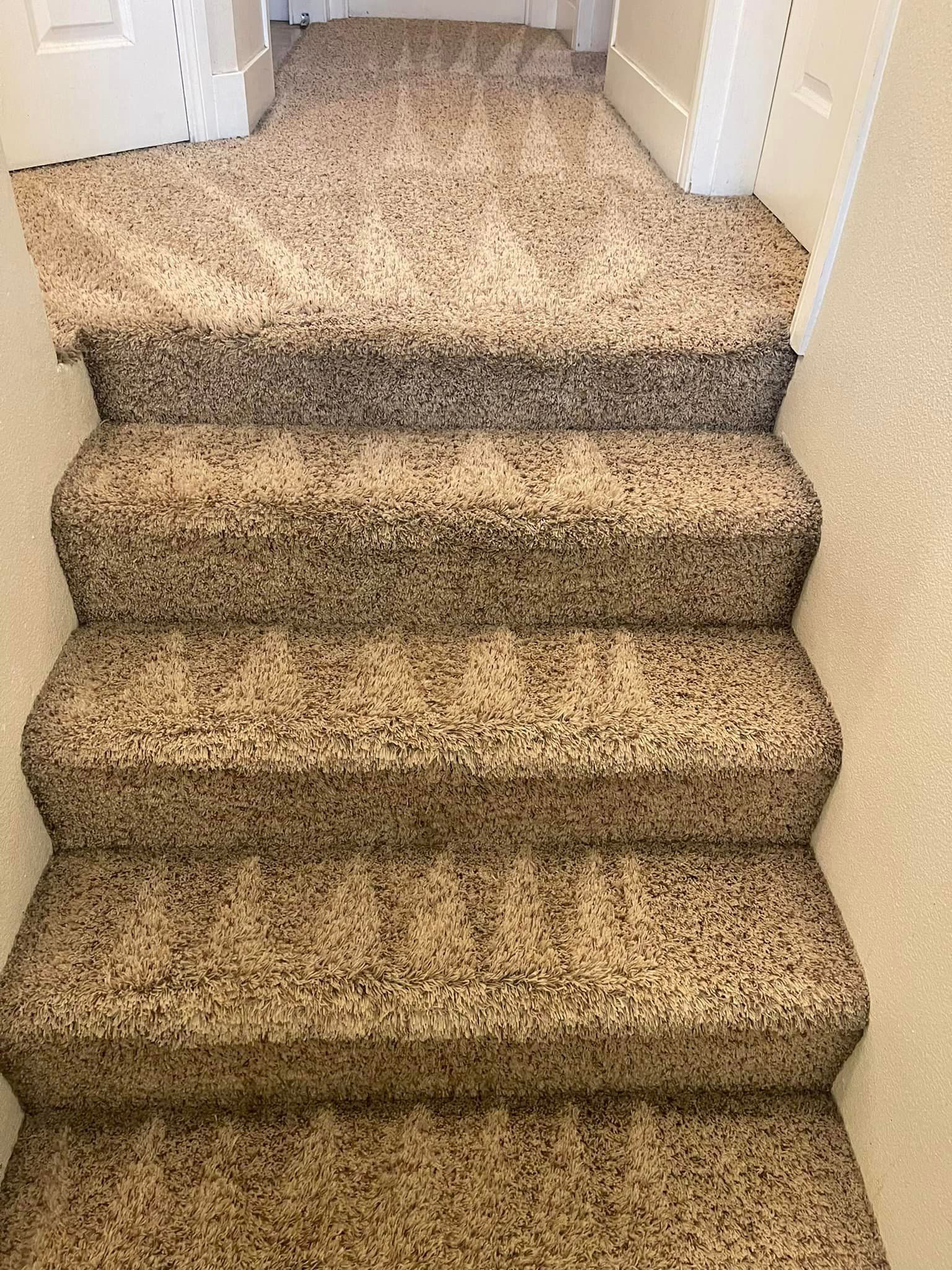 Carpet cleaning services