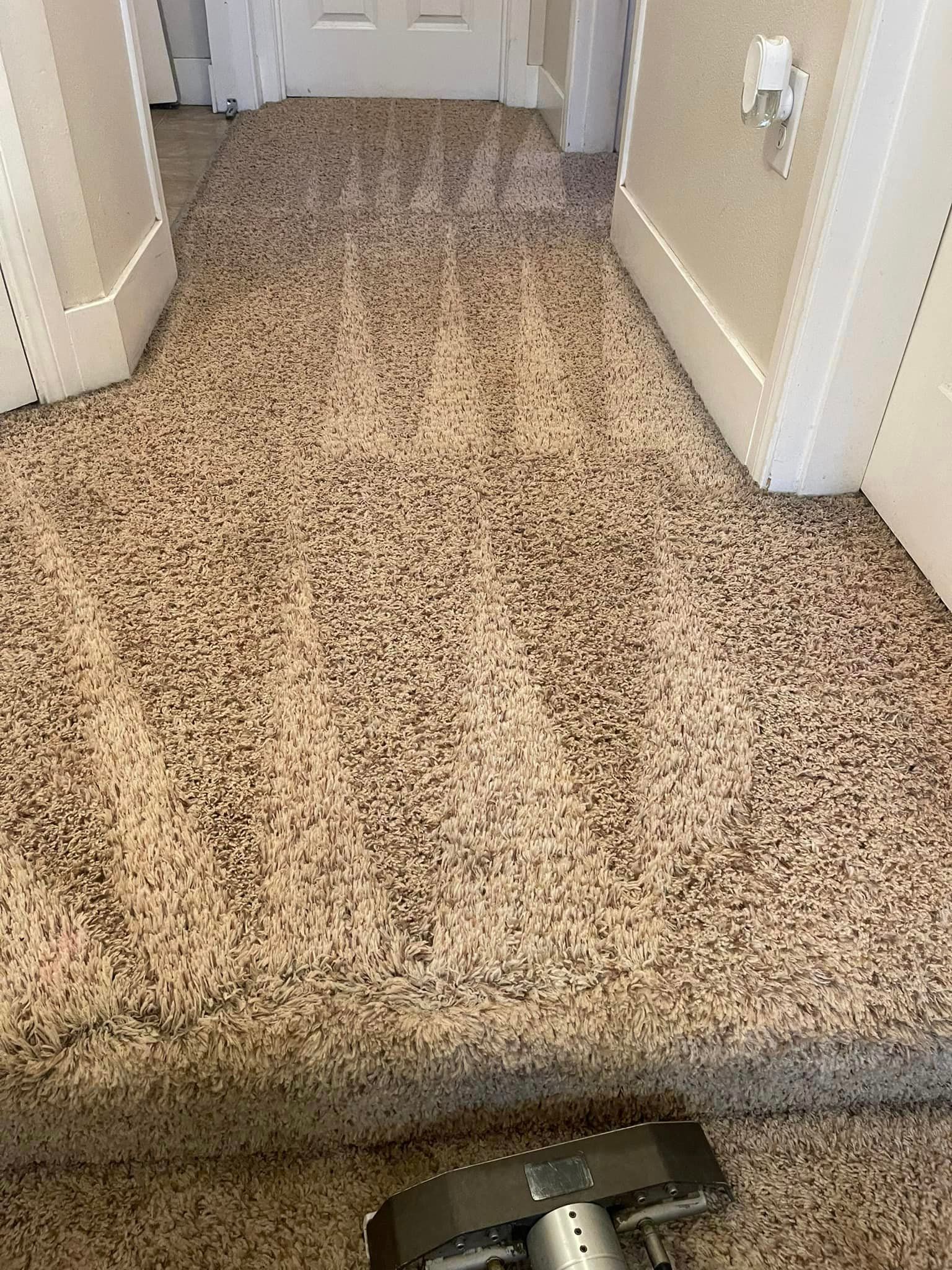 Carpet cleaning services