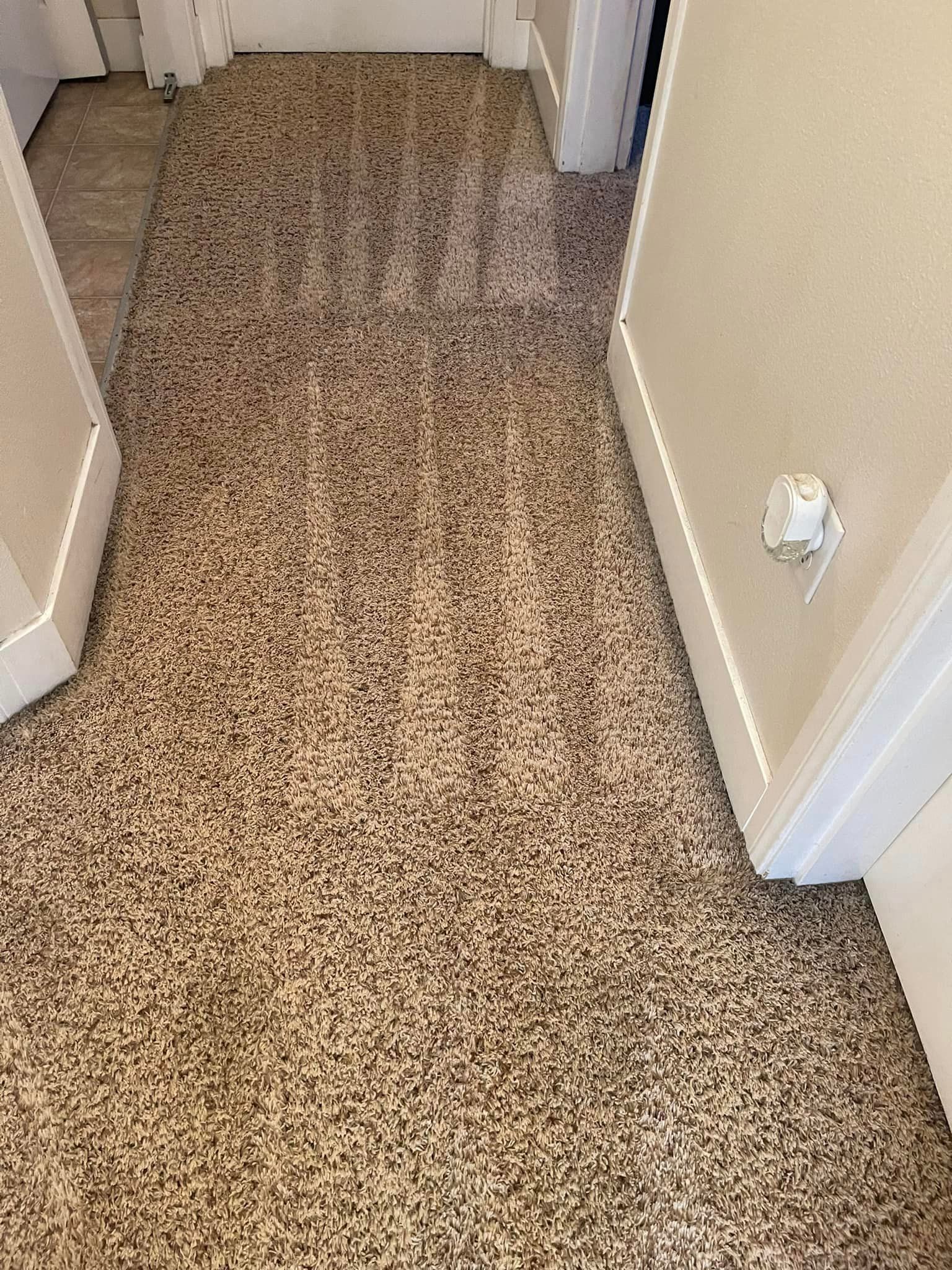 Carpet cleaning services