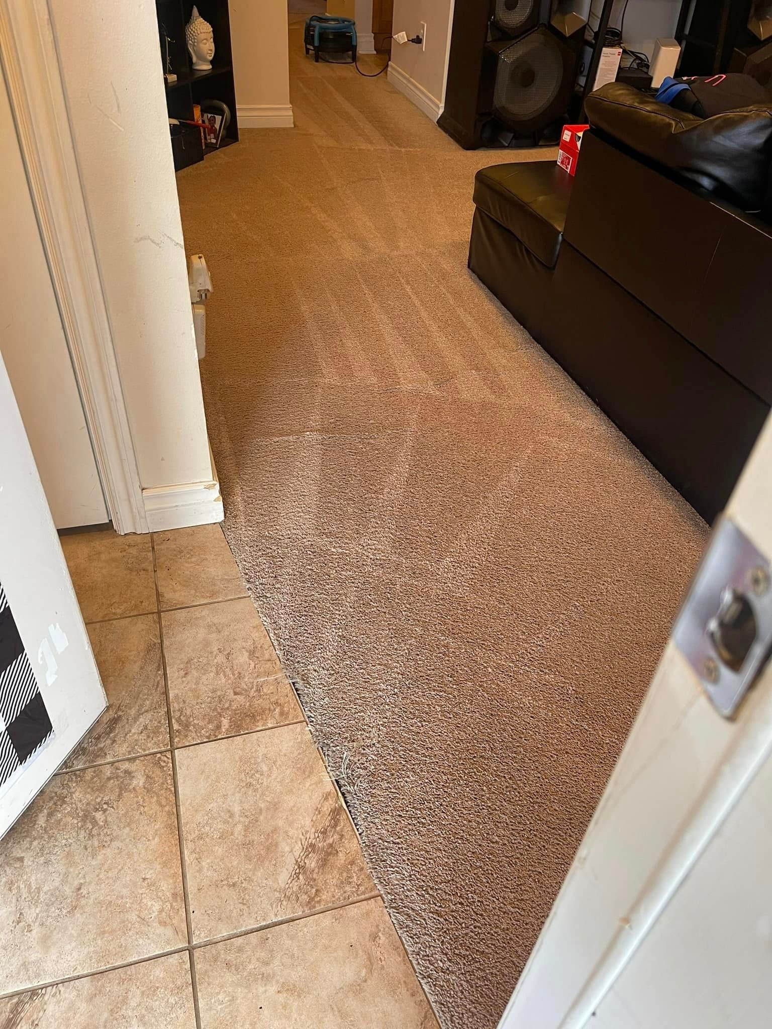 Carpet cleaning services