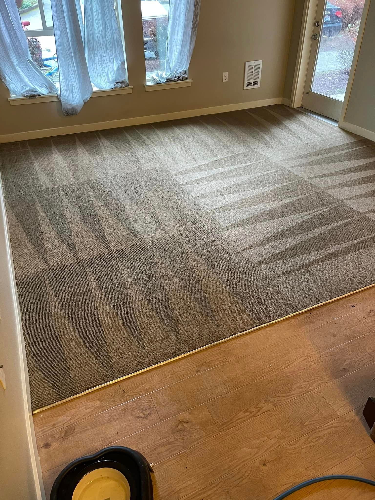 Carpet cleaning services