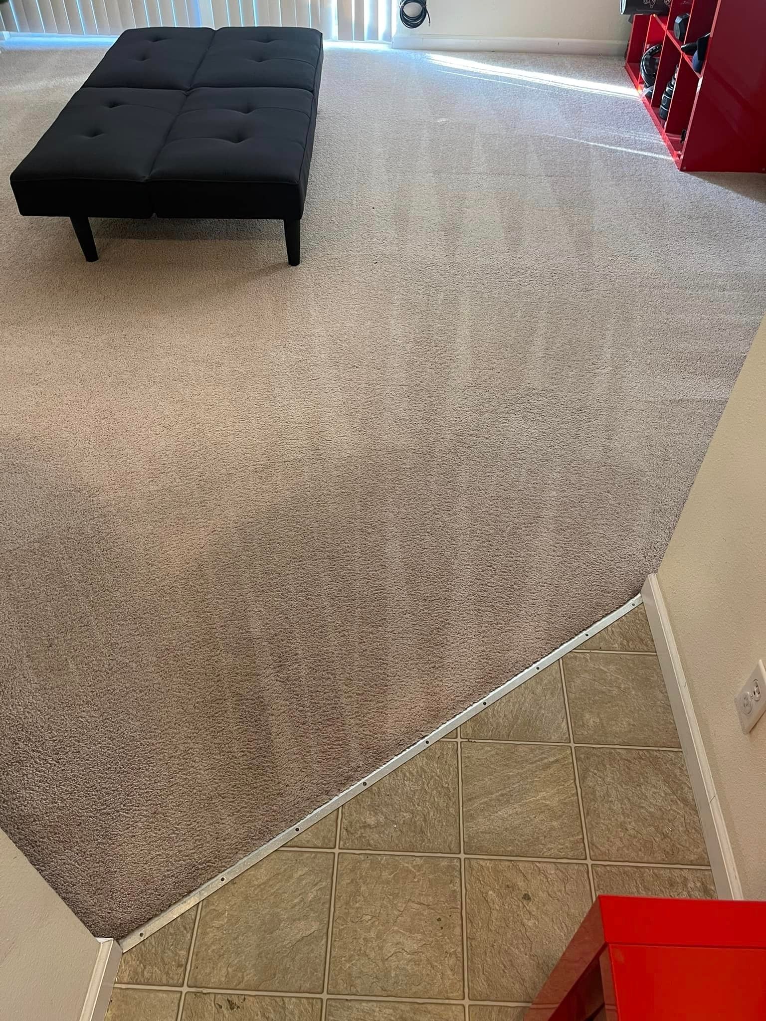 Carpet cleaning services