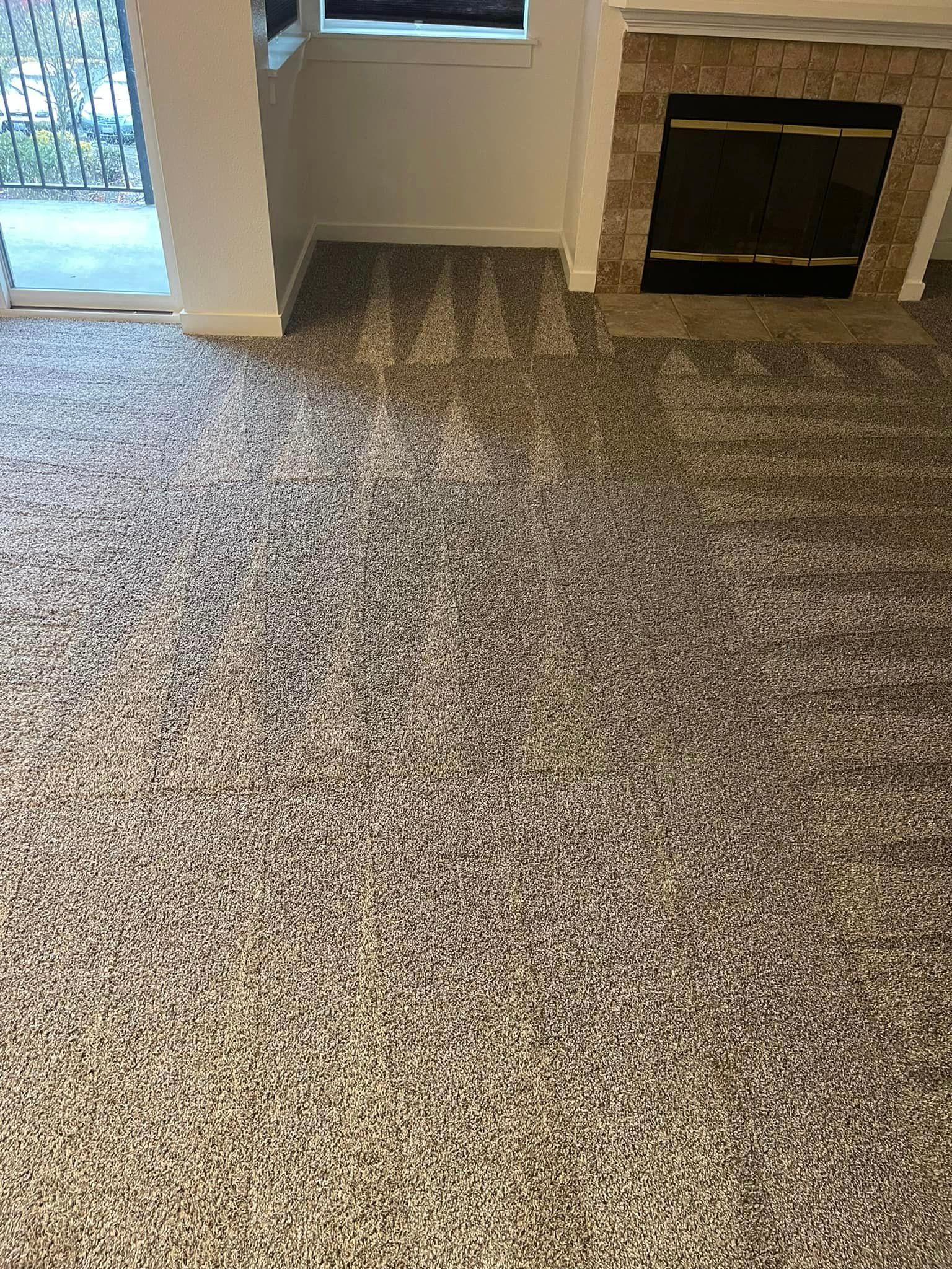 Carpet cleaning services