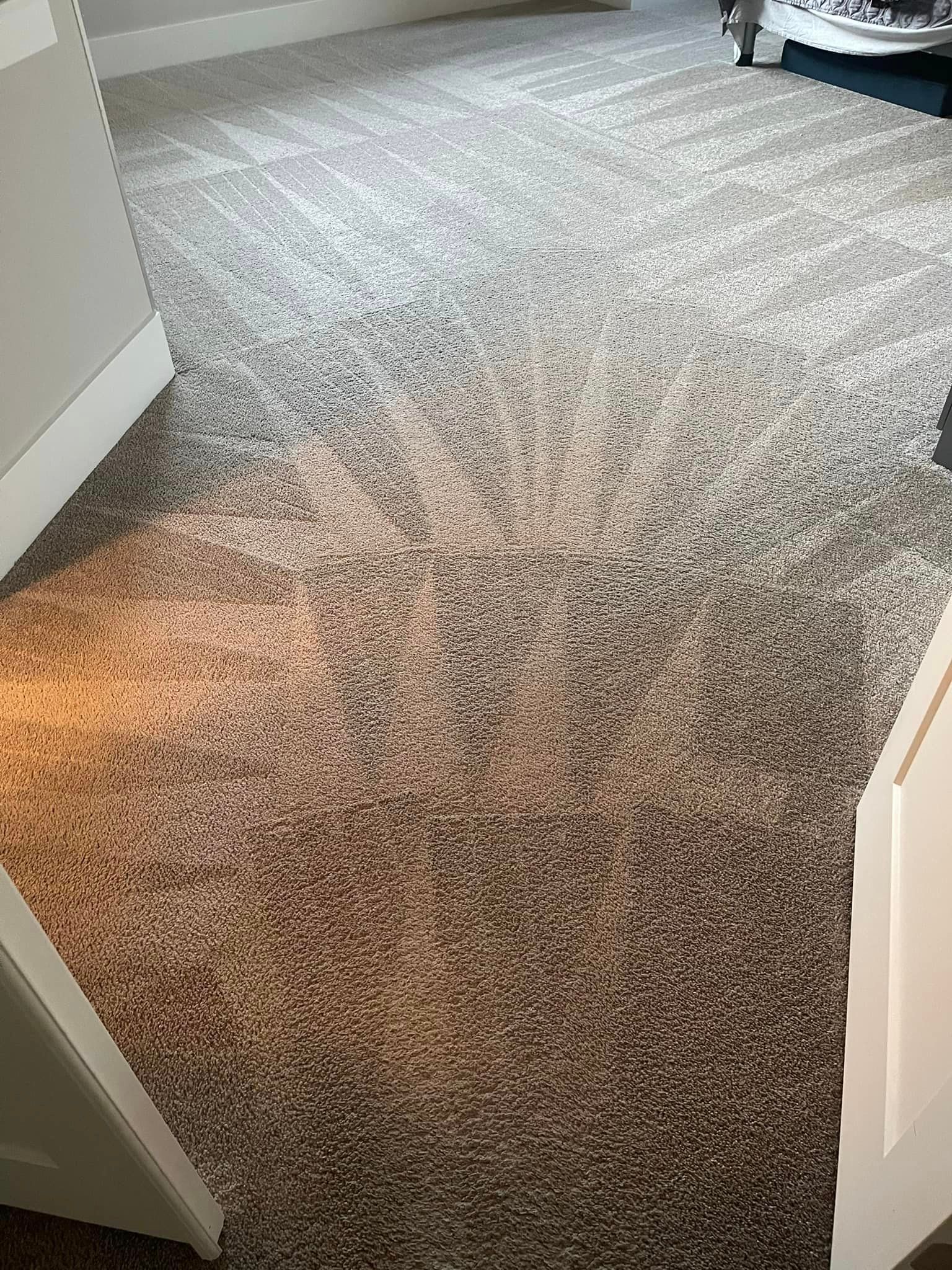 Carpet cleaning services