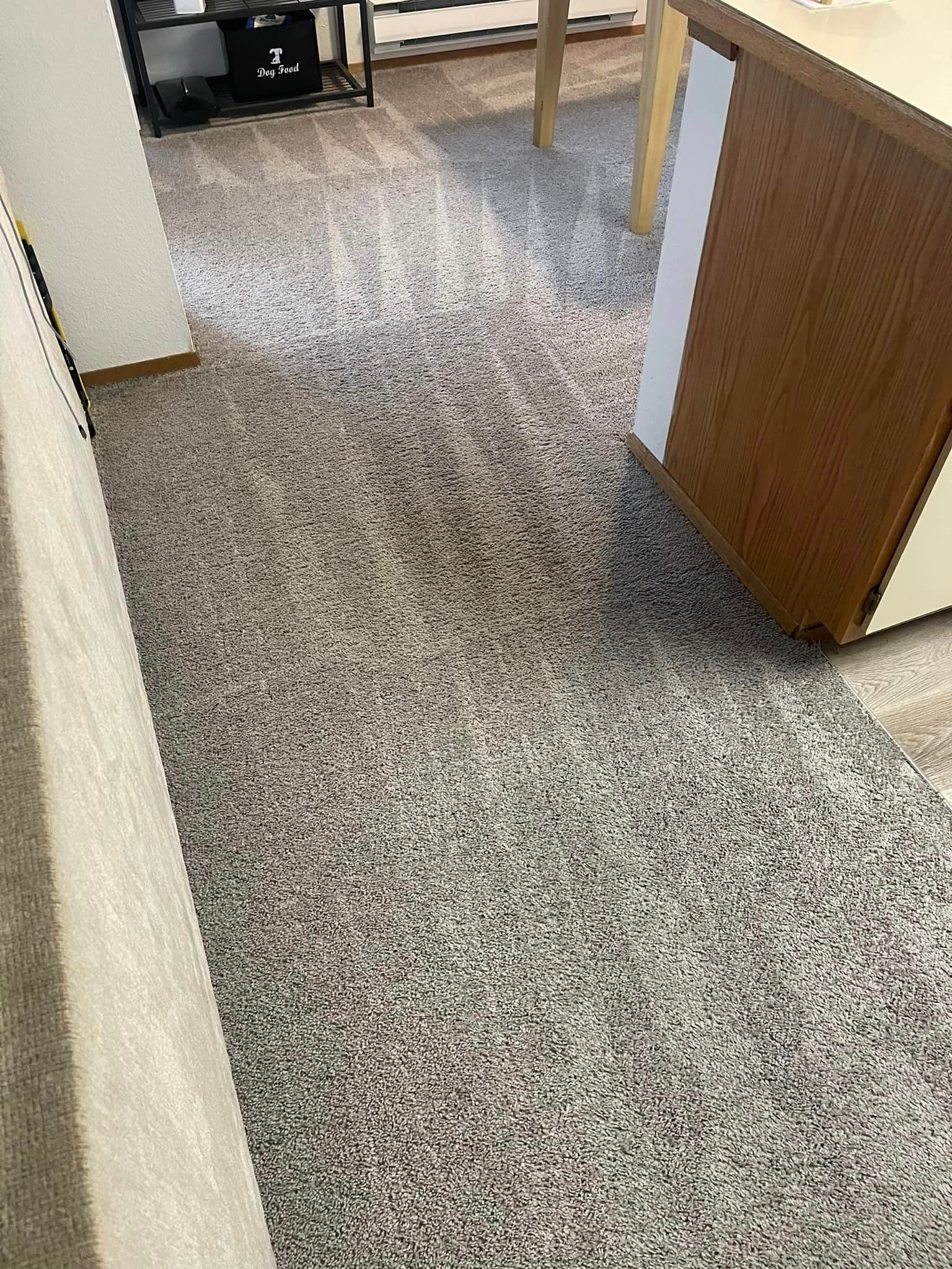 Carpet cleaning services