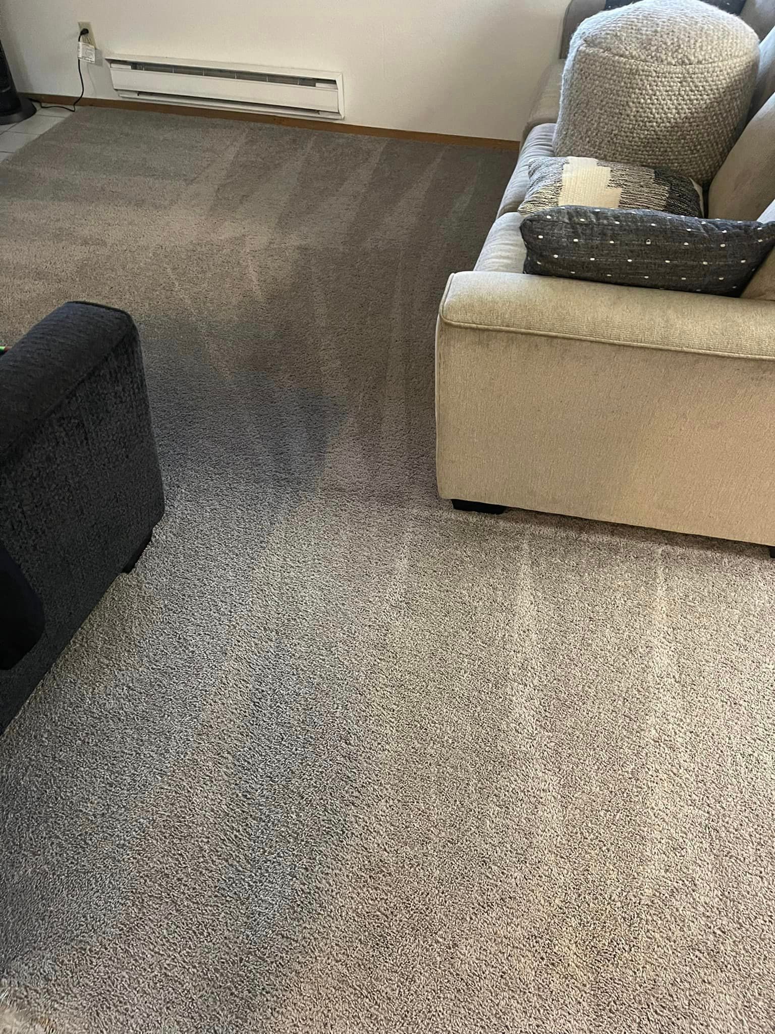 Carpet cleaning services