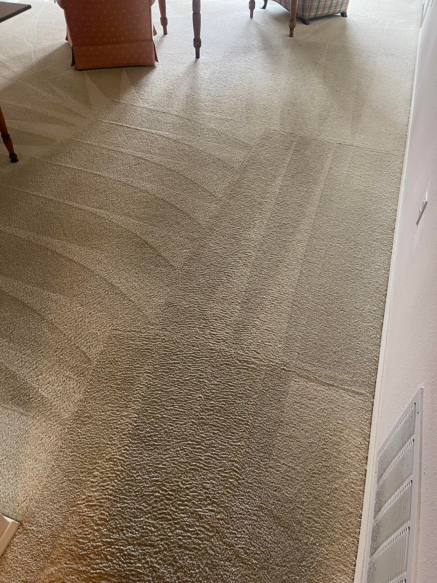 Carpet cleaning services