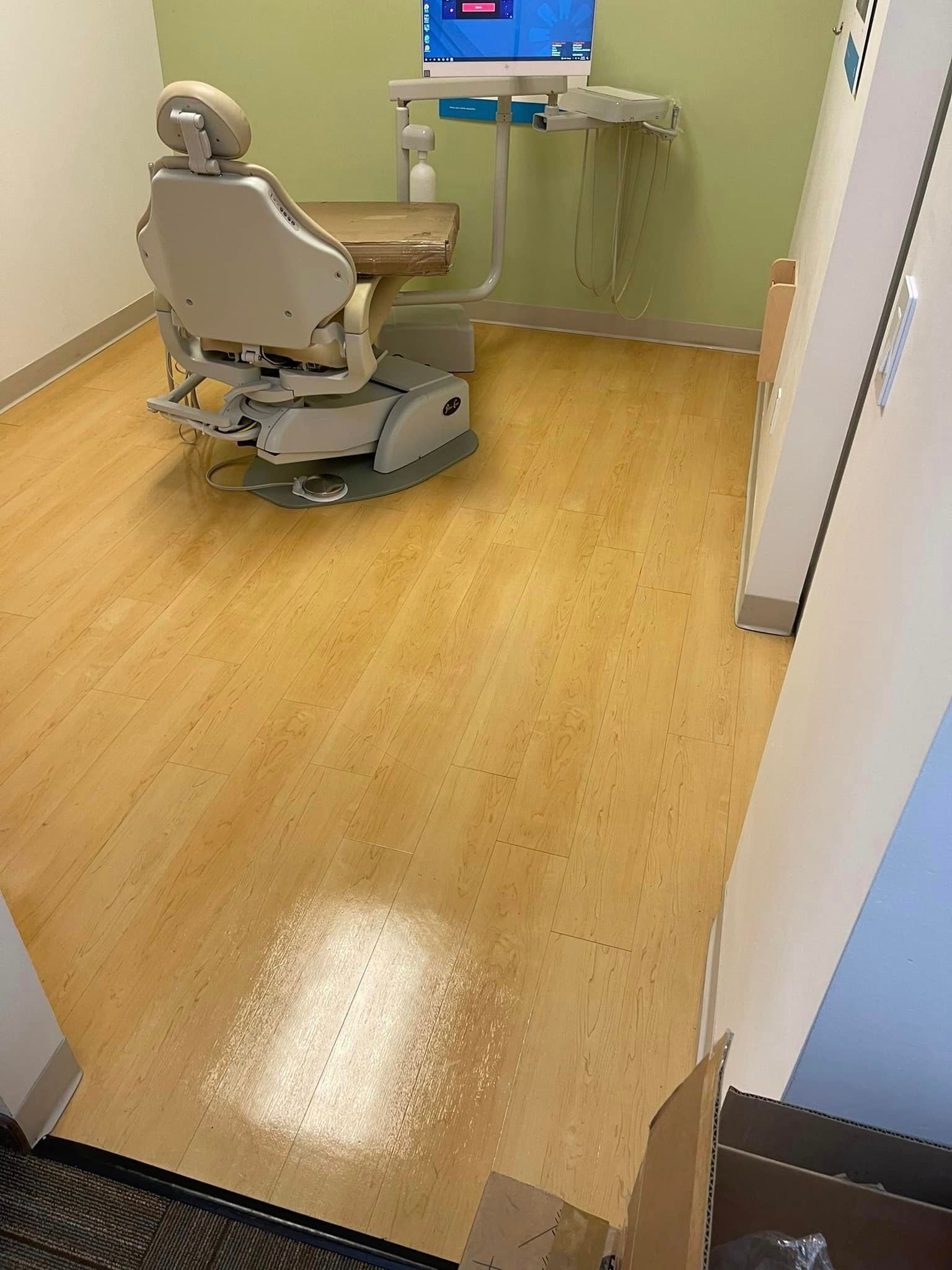 Carpet cleaning services