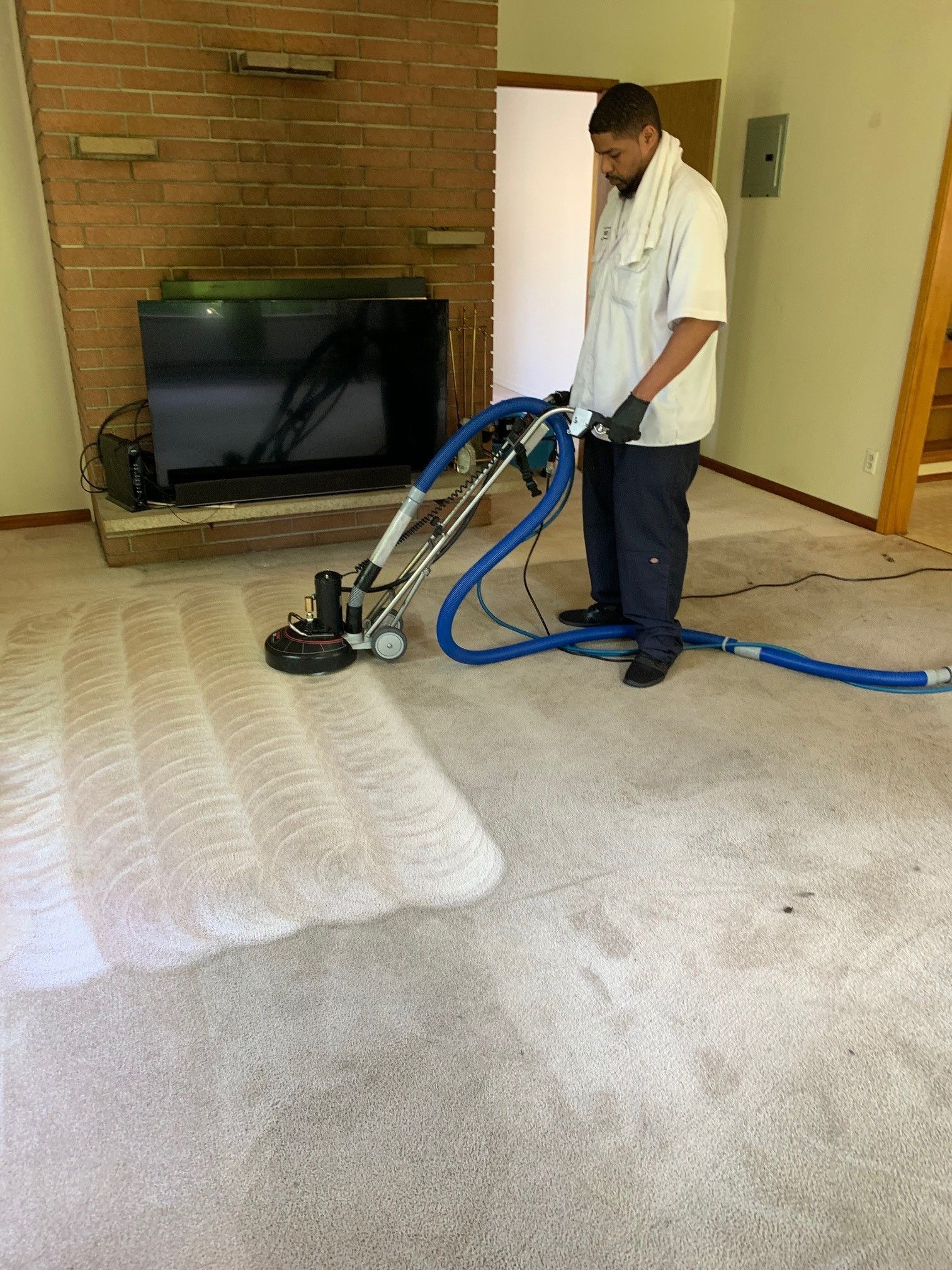 Carpet cleaning services