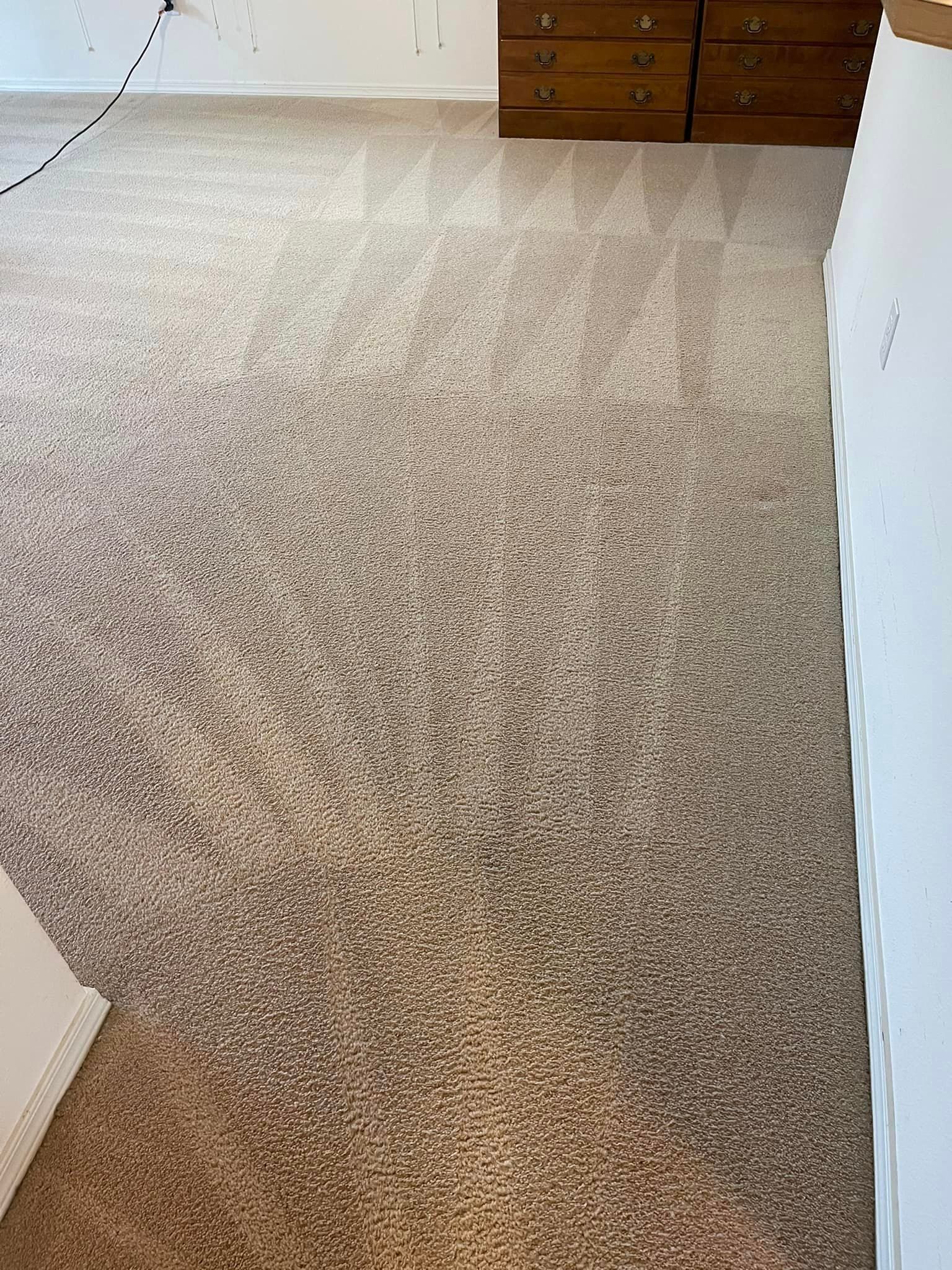 Carpet cleaning services