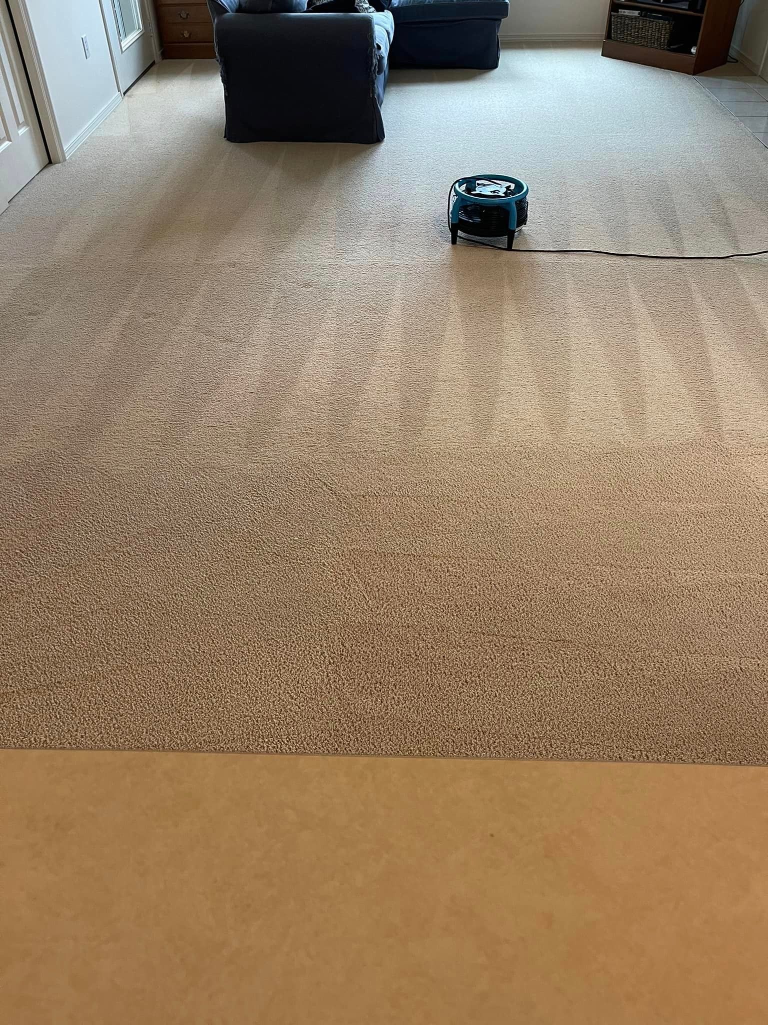 Carpet cleaning services